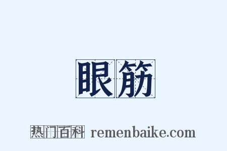 眼筋是什么意思的图片